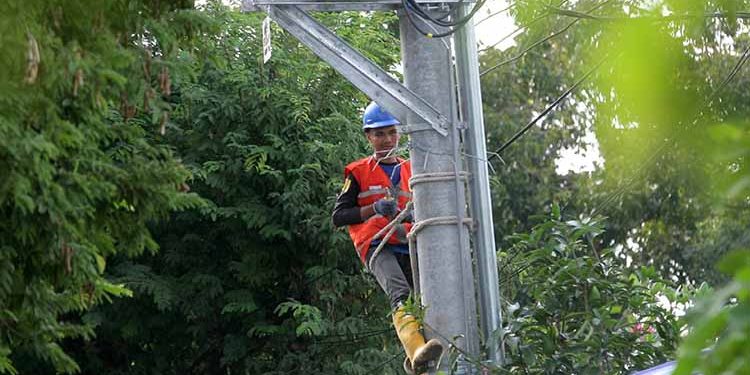 PLN Rekonfigurasi Jaringan listrik di Mandailingnatal