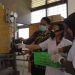 TPL Gandeng USU Berhasil Ciptakan Hand Sanitizer Dari Ekstrak Daun Eucalyptus