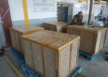 BBKSDA Gagalkan Pengiriman Ribuan Burung Tanpa Dokumen di KNIA