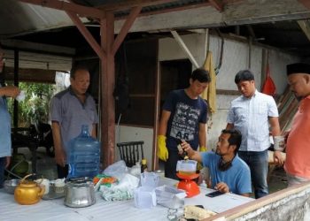Eucalyptus Untuk Sembuhkan Virus Corona