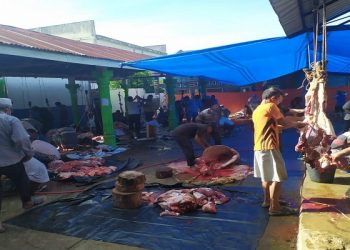 BKM Al Huda Air Batu Sembelih 20 Hewan Kurban