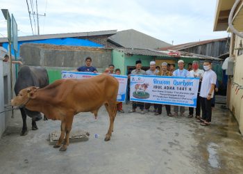 Pelindo 1 Salurkan 60 Hewan Kurban Untuk Warga di Wilayah Operasional
