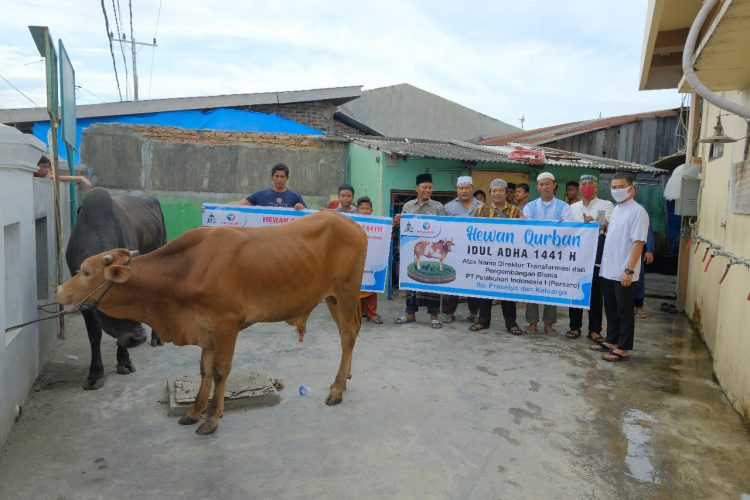 Pelindo 1 Salurkan 60 Hewan Kurban Untuk Warga di Wilayah Operasional