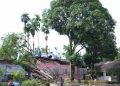 Pohon Tumbang Menimpa Pondok Pesantren di Namorambe