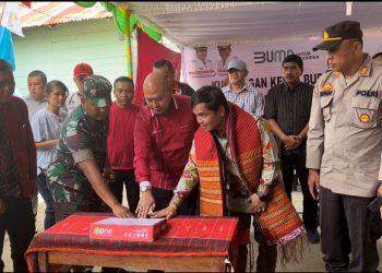 HUT RI ke-77 Tahun, Hadirnya Listrik Jadi Kado Spesial Masyarakat Tapanuli Utara
