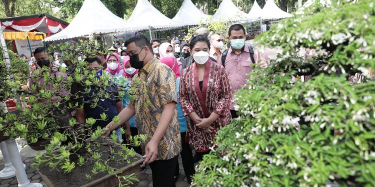 Pemko Medan akan Gelar Pekan Bursa Pameran Tanaman Hias