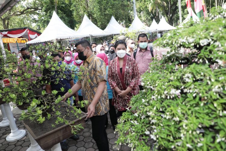 Pemko Medan akan Gelar Pekan Bursa Pameran Tanaman Hias