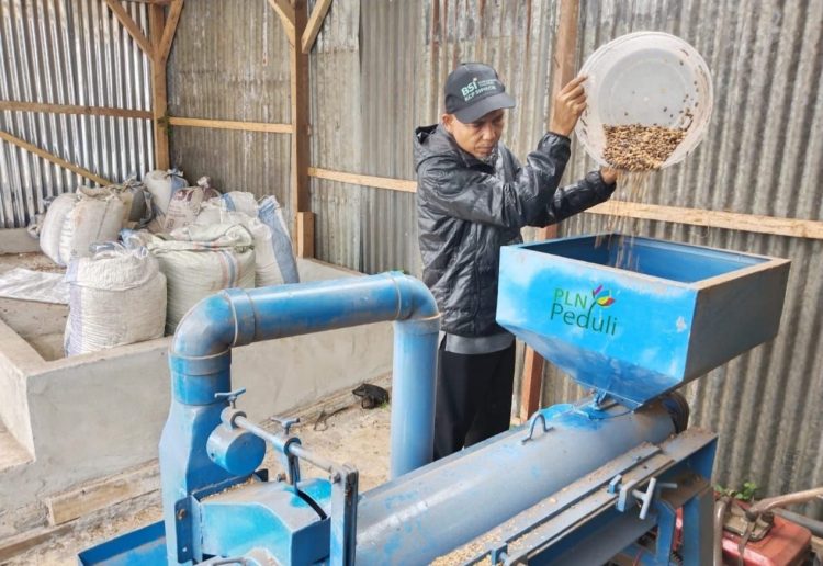 Kopi Sipirok Asal Tapsel Binaan PLN Mendunia