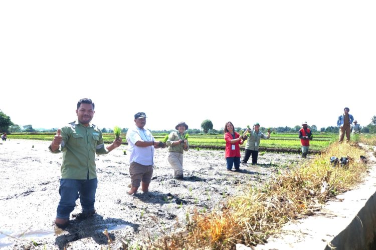 TPL Kembali Berikan Ratusan Kg Benih Padi Untuk 150 KK Petani di Toba