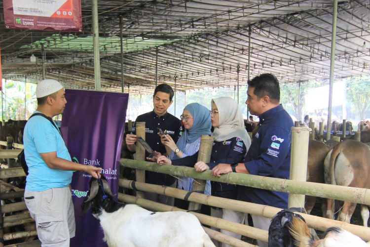 Beli Hewan Kurban Pakai QRIS Muamalat DIN