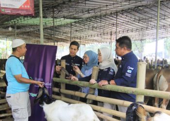 Beli Hewan Kurban Pakai QRIS Muamalat DIN
