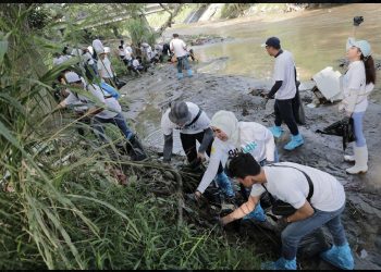 Environmental Movement Gerakan Sinergi BUMN Untuk Bumi