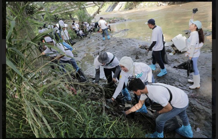 Environmental Movement Gerakan Sinergi BUMN Untuk Bumi