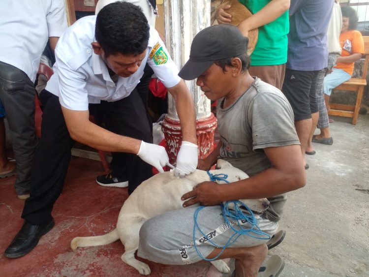Pemko Medan Lakukan Penyuntikan Vaksin Rabies Terhadap Hewan Peliharaan Masyarakat