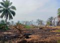 19 Hektare Lahan Perkebunan Sawit Di Asahan Terbakar