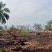 19 Hektare Lahan Perkebunan Sawit Di Asahan Terbakar