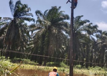 Kurang Dari 24 Jam, PLN Berhasil Pulihkan Kelistrikan di Kabupaten Mandailing Natal, 1.220 Pelanggan Kembali Menyala