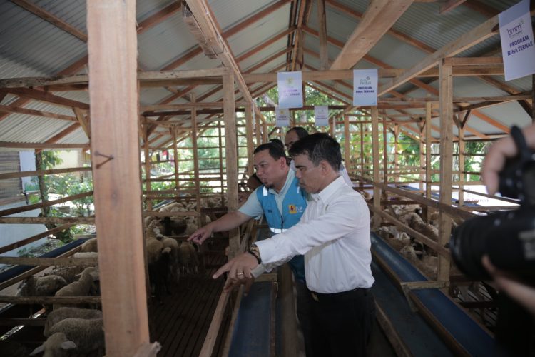 Wujudkan Program _Electrifying Lifestyle_ Sektor UMKM, PLN Dukung Pengrajin Ulos Gunakan Mesin Tenun Electric
