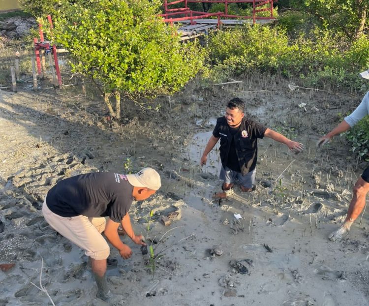 Cegah Erosi Pantai, Ganjar Milenial Ajak Pemuda-Pemudi Tanam Bibit Pohon Cemara