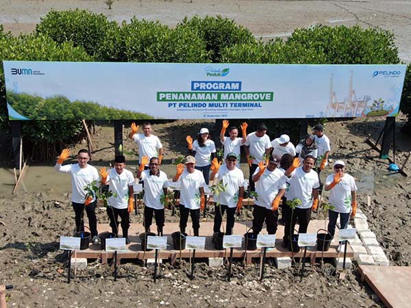 Jaga Ekosistem Laut, SPMT Group Tanam Mangrove