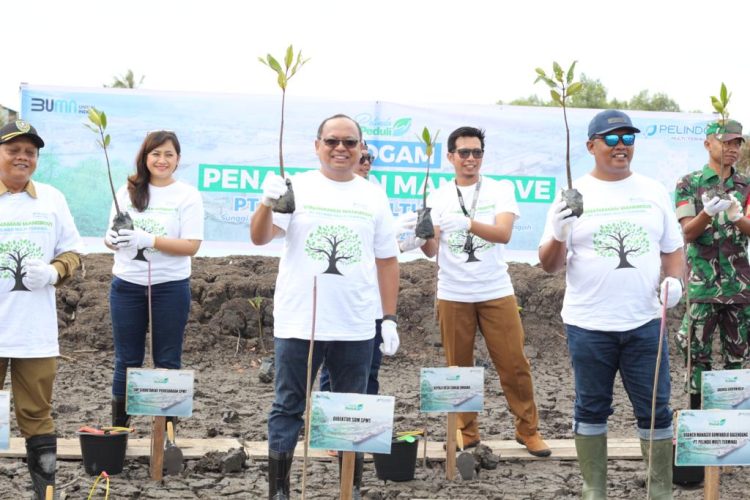 Pelindo Multi Terminal Tanam 8000 Bibit Mangrove di Sungai Undang Kalimantan Tengah