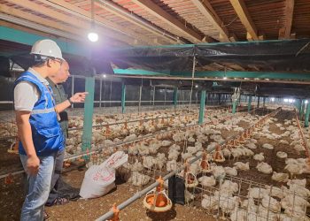 Tarif Listrik Tidak Naik, PLN Pastikan Pasokan Andal Dukung Pertumbuhan Ekonomi Nasional