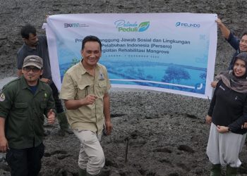 Pelindo Laksanakan Kegiatan Rehabilitasi Mangrove di Kuala Langsa Aceh