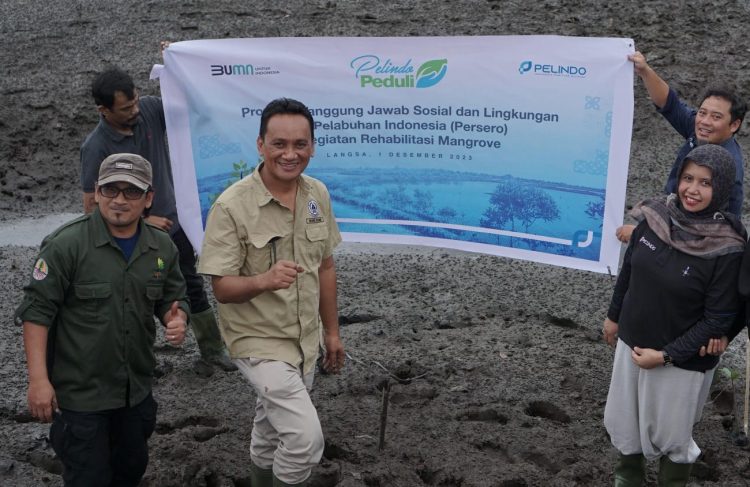 Pelindo Laksanakan Kegiatan Rehabilitasi Mangrove di Kuala Langsa Aceh