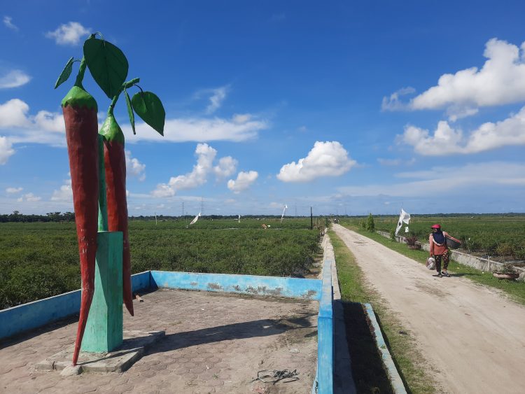 Sumut Baru Bisa Deflasi Jika Harga Cabai di Bawah Rp 36 Ribu