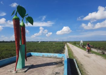 Sumut Baru Bisa Deflasi Jika Harga Cabai di Bawah Rp 36 Ribu