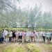 PLN dan Srikandi PLN Gelar Aksi Tanam 100 Bibit Mangrove di Muara Opu Tapanuli Selatan