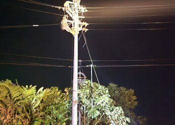 Kurang Dari 24 Jam, PLN Berhasil Pulihkan Kelistrikan di Kabupaten Tapanuli Utara Pasca Cuaca Ekstrem