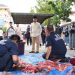 UMSU Sembelih 60 Ekor Hewan Pada Idul Adha 1445 H