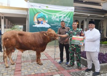 Idul Adha 1445 H, PGN Bagikan 382 Hewan Qurban di Sekitar Wilayah Operasional