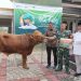 Idul Adha 1445 H, PGN Bagikan 382 Hewan Qurban di Sekitar Wilayah Operasional