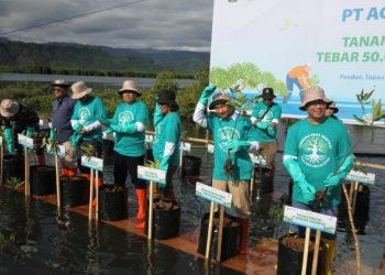 PTAR Tanam Mangrove dan Tabur Bibit Kerang & Kepiting Jaga Keseimbangan Alam