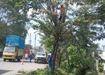 Mantap! 18 Unit SPKLU PLN Siap Layani Kendaraan Listrik HUT RI ke 79 di IKN