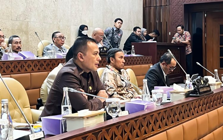 Komisi V DPR Minta Kemenhub Tekan Harga Tiket Pesawat dan Angka Kecelakaan