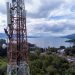 Selama Libur Nataru 2025 Trafik Data XL Axiata Naik 19 persen
