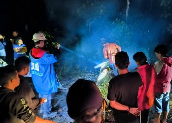 TPL Bantu Atasi Kelancaran Lalu Lintas Akibat Pohon Tumbang  Di Jalur Lintas Parapat