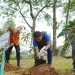 Peringati Hari Lingkungan Hidup, PLN UID Sumut Tebar Kebaikan Lewat Penanaman Pohon