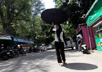 Cuaca panas Medan ekstrem, Juni 2025