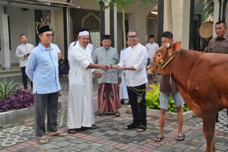 Berbagi Berkah Idul Adha, PGN Group Bagikan 955 Hewan Kurban untuk Masyarakat