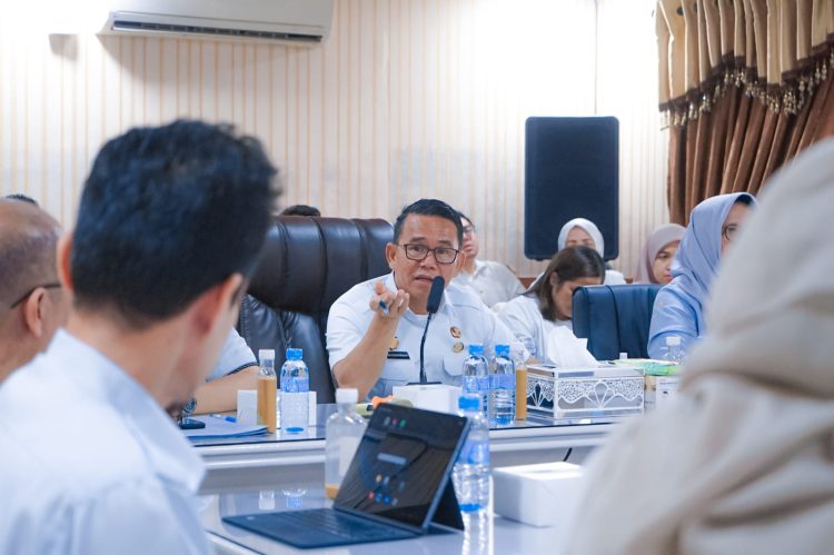 Wakil Wali Kota Medan Launching Aplikasi SIKAPI, Langkah Besar RSUD Dr. Pirngadi Menuju Digitalisasi Keuangan