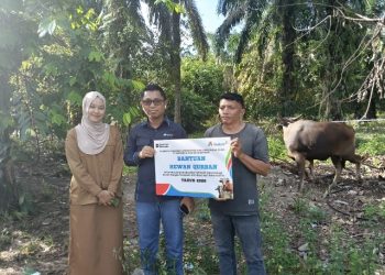 Iduladha 1447 H, INALUM Salurkan 107 Hewan Kurban untuk Masyarakat Sumut