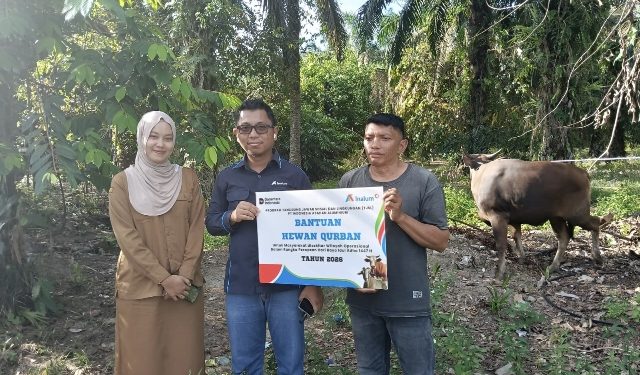 Iduladha 1447 H, INALUM Salurkan 107 Hewan Kurban untuk Masyarakat Sumut