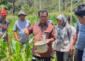 PT Dairi Prima Mineral Perkuat Ekonomi Lokal Lewat Inisiatif Agribisnis Berkelanjutan