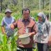 PT Dairi Prima Mineral Perkuat Ekonomi Lokal Lewat Inisiatif Agribisnis Berkelanjutan